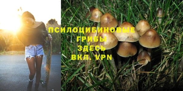 спайс Лагань