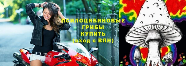 мдпв Ладушкин