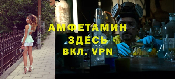мдпв Ладушкин