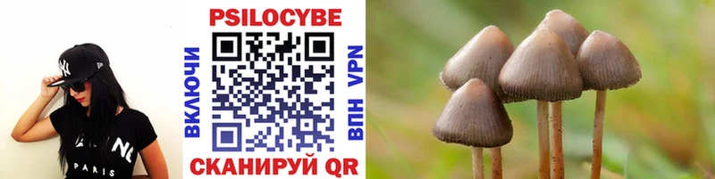 Псилоцибиновые грибы Psilocybe  Кукмор 